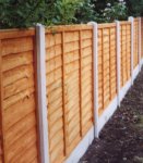 Fencing & Trellis