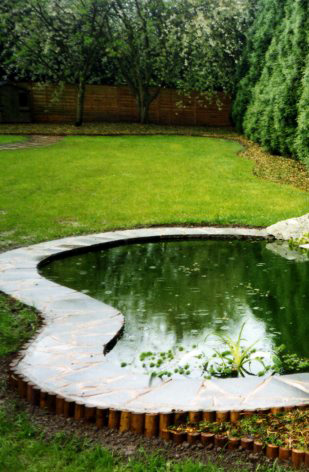 Pools & Water