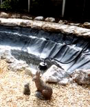 Pools & Water